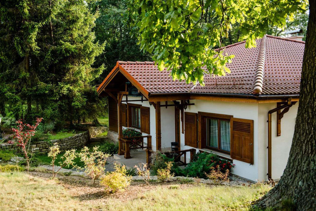Palac Czarny Las Wożniki Extérieur photo